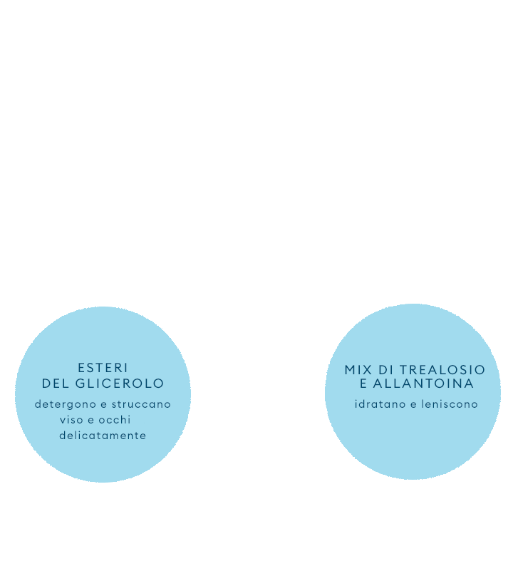 Soluzione Micellare